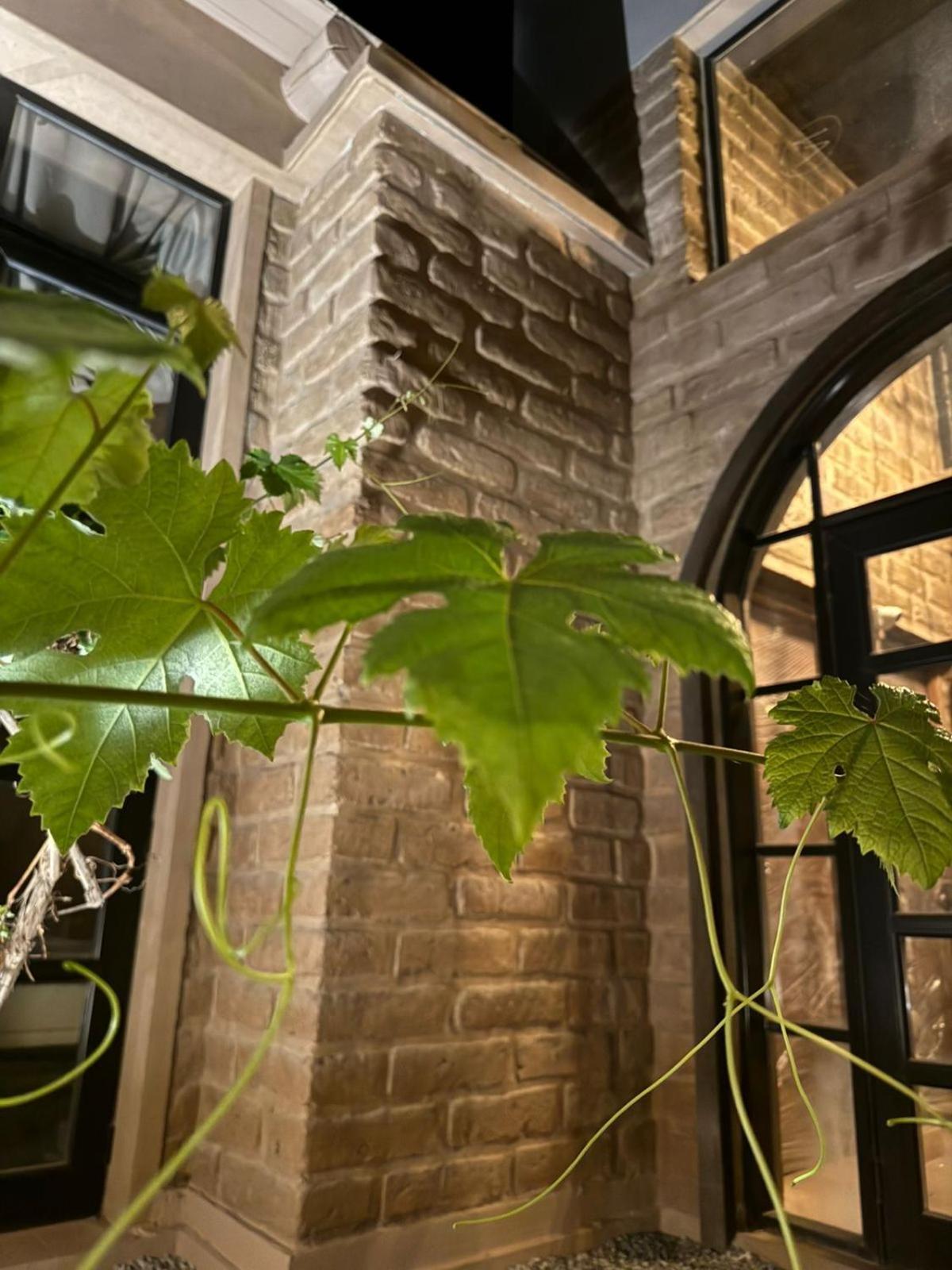 Mitu Hotel Purmamarca Exterior photo
